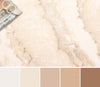 Dove Ivory Rug 8'0" x 10'0" | Tapis Contemporain/Moderne Dove 8'0" x 10'0" en Ivoire