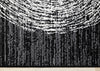 Florence Black Grey White Tree Ring Design Rug, 6'7" x 9'6" Indoor Area Rug | Tapis Florence noir, gris et blanc a motif d'anneaux d'arbre, 6'7" x 9'6"