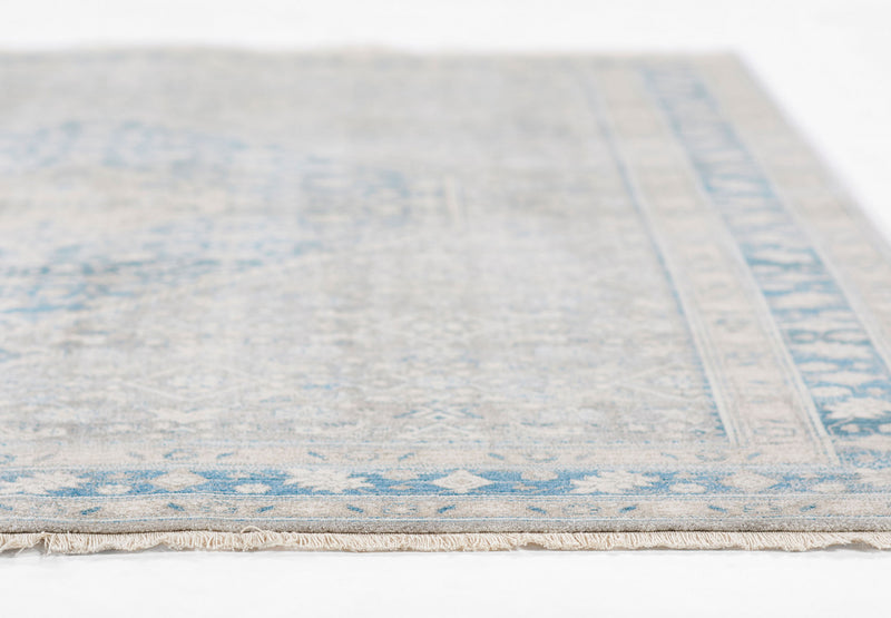 Lucia Traditional 9'0\" x 12'0\" Area Rug in Blue Indoor Area Rug