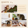 Pawhut Cat Tree 5pcs Pet Wall-mounted Climbing Frame Shelf Set Kitten Perch Activity Center With Ham|Pawhut Ensemble D'etageres Pour Chats 5 Pieces Echelle Escalier Escalade Chats Mural Avec 2 Hamacs G