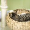 Pawhut 28" Cat Tree With Scratching Post, Cat Tower For Indoor Cats With Double Beds, Beige|Pawhut Arbre A Chat De 28" Avec Griffoir En Sisal Pour Chatons D'interieur, Arbre A Chat Moderne Ave