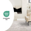 Fallon White Grey Elegant Faded Traditional Rug, 7'10" x 10'6" Indoor Area Rug | Tapis Fallon blanc gris elegant delave traditionnel, 7'10" x 10'6"