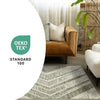 Florence Green White Distressed Chevron Design Rug, 6'7" x 9'6" Indoor Area Rug | Tapis Florence vert et blanc a motif chevron vieilli, 6'7" x 9'6"