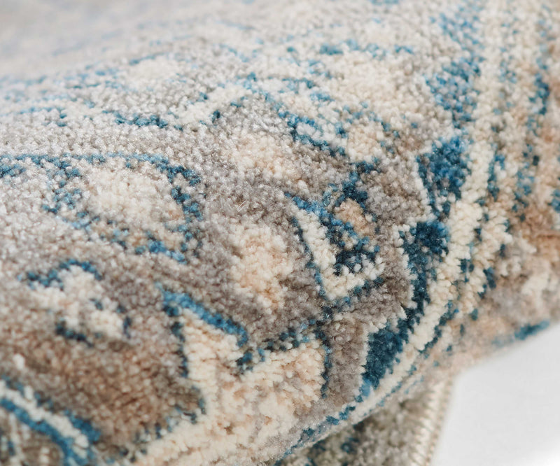 Lucia Traditional 9'0\" x 12'0\" Area Rug in Blue Indoor Area Rug