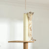 Pawhut 100" Floor To Ceiling Cat Tree W/ 3 Perches Activity Center For Kittens Cat Tower Furniture, |Pawhut 100" Arbre A Chat Du Sol Au Plafond Avec 3 Perchoirs Centre D'activites Pour Chatons, Marron