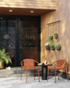 Umbra Black Triflora Hanging Planter - Set of 5|Jardinière suspendue Triflora de Umbra noire - ensemble de 5