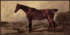 Horse Framed Acrylic Touch Art - 25" x 49" | Œuvre d’art tactile en acrylique encadrée « Horse » - 25 po x 49 po