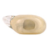 4" Bethel Small Glass Bird | Petit oiseau Bethel de 4 po en verre