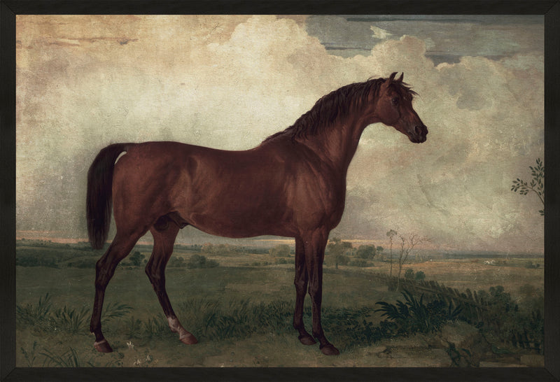 Vintage Horse II Framed Linen Textured Artwork - 25\" x 37\"