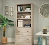 Goodwin 29.06” Modern 2-Shelf Bookcase with Drawers – Chalked Chestnut | Bibliothèque moderne Goodwin de 29,06 po à 2 tablettes avec tiroirs - marron blanchi