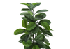 52” Artificial Indoor Rubber Tree in 5” Pot  | Hévéa artificiel de 52 po en pot de 5 po pour l’intérieur