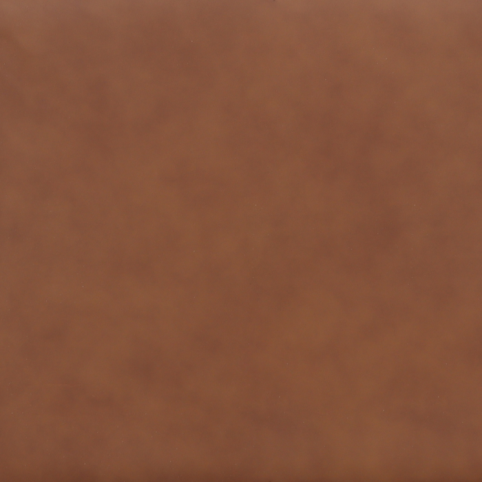 Chateau d’Ax Venice 39\" 100% Genuine Leather Accent Chair – Light Brown 