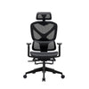 Tygerclaw Executive High Back Mesh Office Chair - Black|Fauteuil président en mailles TygerClaw à dossier haut - noir