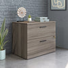 Affirm 35.43" Commercial Grade 2-Drawer Filing Cabinet - Hudson Elm|Classeur Affirm de 35,43 po de qualité commerciale à 2 tiroirs - orme Hudson