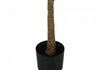 47" Artificial Fiddle Tree in 5" Pot | Figuier lyre artificiel de 47 po en pot de 5 po