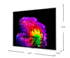 LG 65" G6 OLED 4K Smart webOS TV with Flush Wall Mount (OLED65G6WUA.ACC) - 2026 Model | Téléviseur intelligent DELO LG G6 4K de 65 po avec webOS et support mural affleuré (OLED65G6WUA.ACC) - modèle 2026