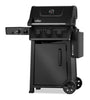 Napoleon 365 43,000-BTU Propane Gas BBQ with Infrared Side Burner - FP365DSIBPMK-1 | Barbecue à gaz propane 365 de Napoleon de 43 000 BTU avec brûleur latéral infrarouge - FP365DSIBPMK-1