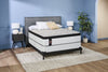 Sealy Copper Collection Full Boxspring | Sommier Collection Cuivre de Sealy pour double lit | CP25BXFB