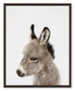 Baby Donkey Framed Artwork with a Stucco Finish – 17" x 21" | Œuvre d’art encadrée « Baby Donkey » avec fini stuc - 17 po x 21 po
