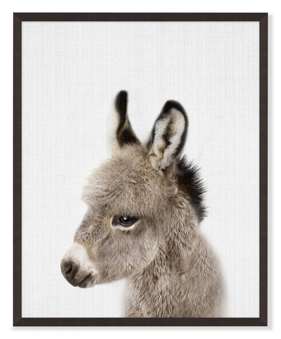 Baby Donkey Framed Artwork with a Stucco Finish – 17\" x 21\"