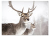 Deer Framed Artwork with Stucco Finish – 27\" x 35\"