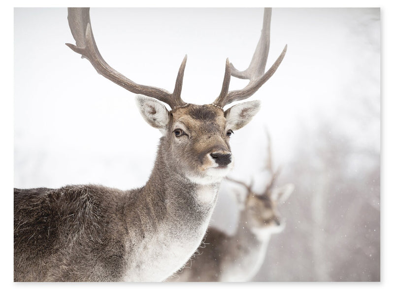 Deer Framed Artwork with Stucco Finish – 27\" x 35\"