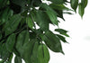 58" Artificial Ficus Tree in 6" Pot | Ficus artificiel de 58 po en pot de 6 po