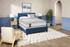 Sealy Posturepedic® Plus Alora Eurotop Plush Full Mattress | Matelas moelleux à Euro-plateau Alora PosturepedicMD Plus de Sealy pour lit double | ALORAPFM