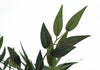 47" Artificial Acacia Tree in 5" Pot | Acacia artificiel de 47 po en pot de 5 po