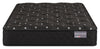 Springwall Advance Vauxhall Tight Top Firm Full Mattress  | Matelas ferme à plateau régulier Advance Vauxhall de Springwall pour lit double | VAUXHLFM
