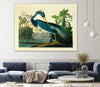 "Louisiana Heron Plate 217" Giant Art 72x54 Wall Art