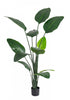 Artificial 70" Bird Of Paradise Indoor & Outdoor In Black Pot 