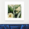 "Cropped Turpin Tropicals Iii" Matted and Framed White 30x30 Wall Art