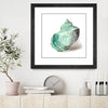 "Shell In Mint" Matted and Framed Black 30x30 Wall Art