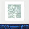 "Sea Crown I" Matted and Framed White 30x30 Wall Art