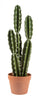 Artificial 26" Mexican Cactus In Terracotta Pot 