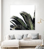 "Cape Storm" Giant Art 54x54 Wall Art