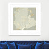 "Sea Coral I" Matted and Framed White 36x36 Wall Art