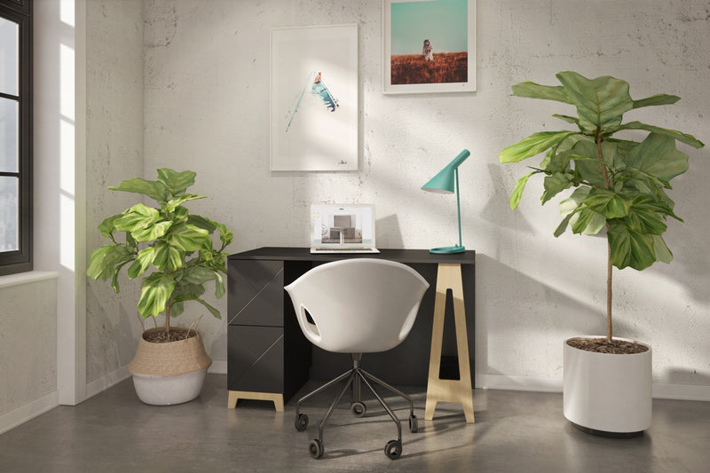 Nordika Atypik 2-Drawer Desk - Black