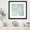 "Sea Crown I" Matted and Framed Black 36x36 Wall Art