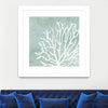 "Sea Crown Ii" Matted and Framed White 30x30 Wall Art