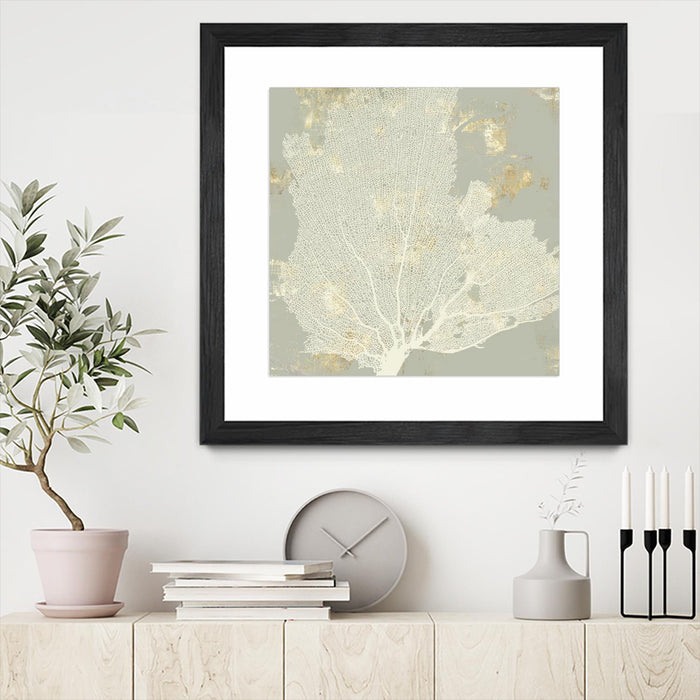 \"Sea Coral I\" Matted and Framed Black 30x30 Wall Art
