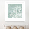 "Sea Crown Ii" Matted and Framed White 30x30 Wall Art