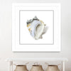 "Seafoam Shell" Matted and Framed White 36x36 Wall Art
