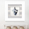 "Muted Blue Sea Conch On Wood" Matted and Framed White 30x30 Wall Art