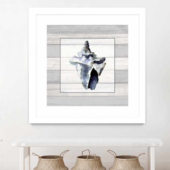 \"Muted Blue Sea Conch On Wood\" Matted and Framed White 30x30 Wall Art