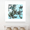 "Palm 03" Matted and Framed White 36x36 Wall Art