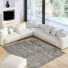 Dayna Grey Rug 5'3" X 7'3" Area Rug