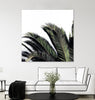 "Cape Storm" Giant Art 54x54 Wall Art