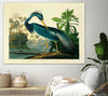 "Louisiana Heron Plate 217" Giant Art 72x54 Wall Art